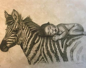 Sandro's Zebra - Limited Edition Giclee Print