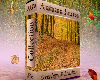 Falling leaves clip art Autumn leaves clipart, photoshop overlay - 40pcs photo overlay . png files and 24 realistic leaves .abr format