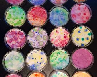 Petri Dish Ornaments