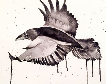 Raven - Original Watercolor Painting