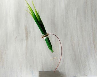 Minimalist Vаse, Hanging Glass vase, Geometric Vase, Mini Glass Vase, Test tube bud vase