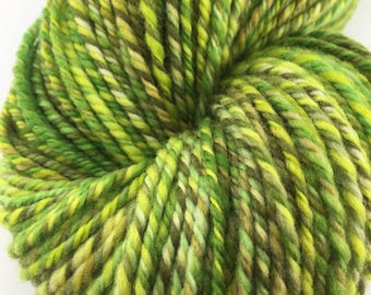 Handspun Yarn Worsted "Grasshopper Song" 220 yds SW Merino Nylon