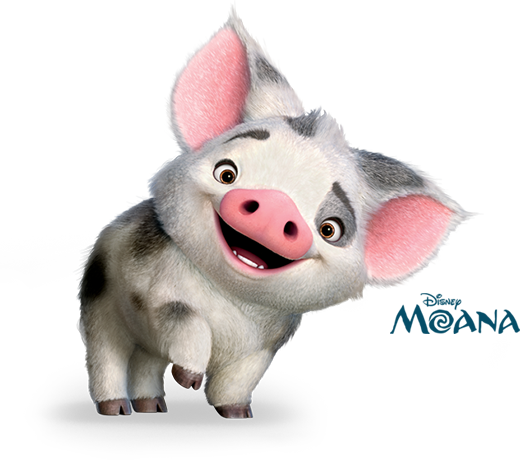 Pua Moana Disney Drawings Moana Png Disney Art