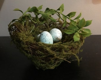 Mossy Spring Birds nest with Robin's eggs- 3 1/2-4"