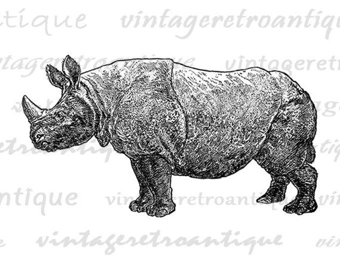 Rhino Graphic Printable Image Download Rhinoceros Illustration Digital Vintage Clip Art Jpg Png Eps HQ 300dpi No.2640