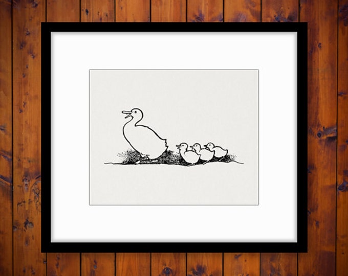 Digital Graphic Duck and Duckings Printable Cute Artwork Download Image Vintage Clip Art for Transfers Printing etc HQ 300dpi No.3660