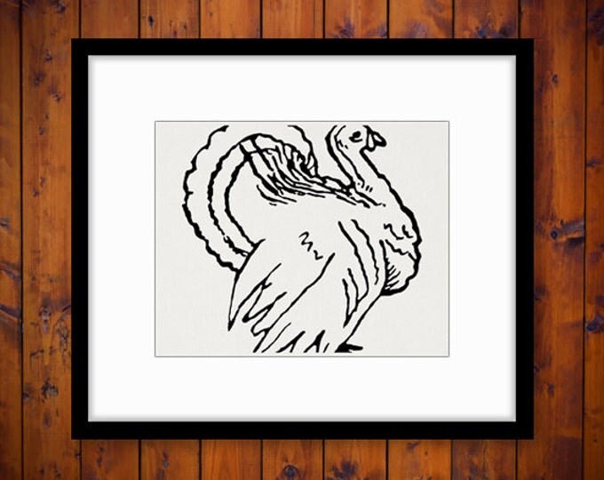 Digital Image Thanksgiving Turkey Printable Illustration Graphic Download Antique Clip Art Jpg Png Eps HQ 300dpi No.3240