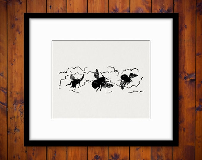 Printable Graphic Three Bees Download Image Digital Artwork Vintage Clip Art Jpg Png Eps HQ 300dpi No.2404