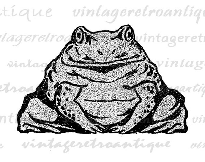 Digital Printable Antique Frog Image Toad Graphic Illustration Download Vintage Clip Art Jpg Png Eps HQ 300dpi No.314