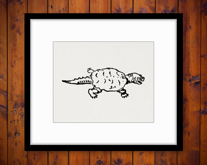 Snapping Turtle Printable Graphic Digital Illustration Image Download Vintage Clip Art Jpg Png Eps HQ 300dpi No.1587