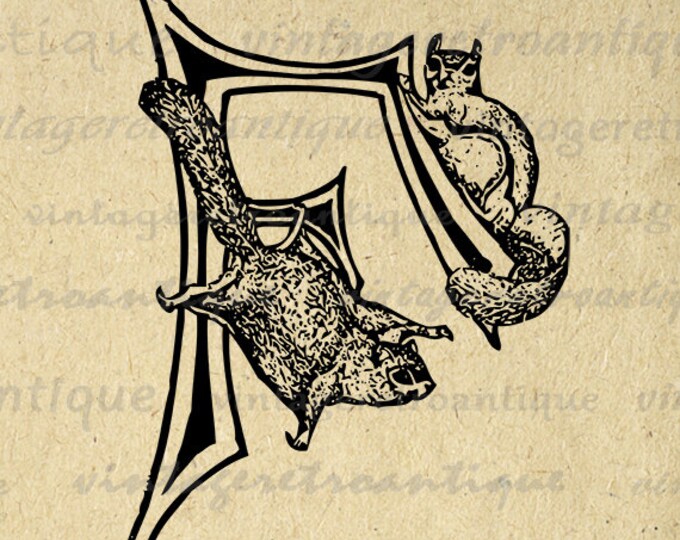 Digital Printable Letter F with Flying Squirrels Download Flying Squirrels Image Letter F Graphic Vintage Clip Art HQ 300dpi No.4711