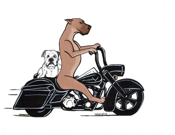 dog riding motorcycle clipart - photo #11