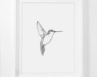 Hummingbird Art, Drawing, Hummingbird Drawing, Art Prints, Framed Drawing, Art and Drawing, Sketch Art, Framed Sketched Art, Bird Sketch