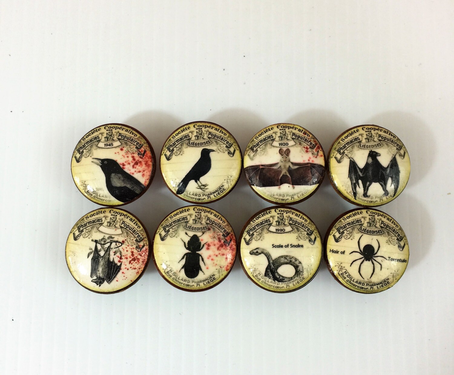 Set of 8 Apothecary Label Print Knobs