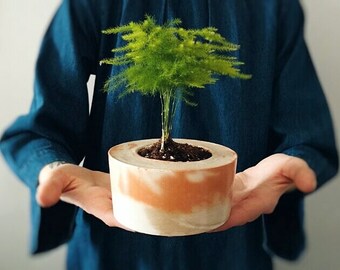 Concrete Planters - Marbled Concrete Bowls - Concrete Vase