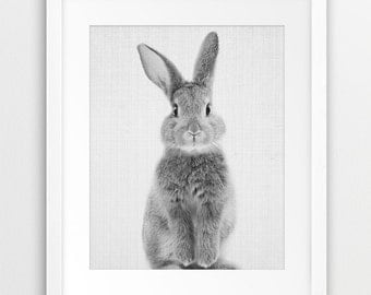 Rabbit Print, Nursery Animal Wall Art, Woodlands Animals Print, Cute Bunny Print, Black And White Photo, Kids Room Decor, Printable Art
