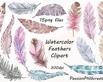 Watercolor Feathers Clipart, Feather clip art, Digital feathes, feather digital watercolor png, for Personal and Commercial Use