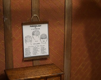 Dolls House Miniature Phrenolody Chart