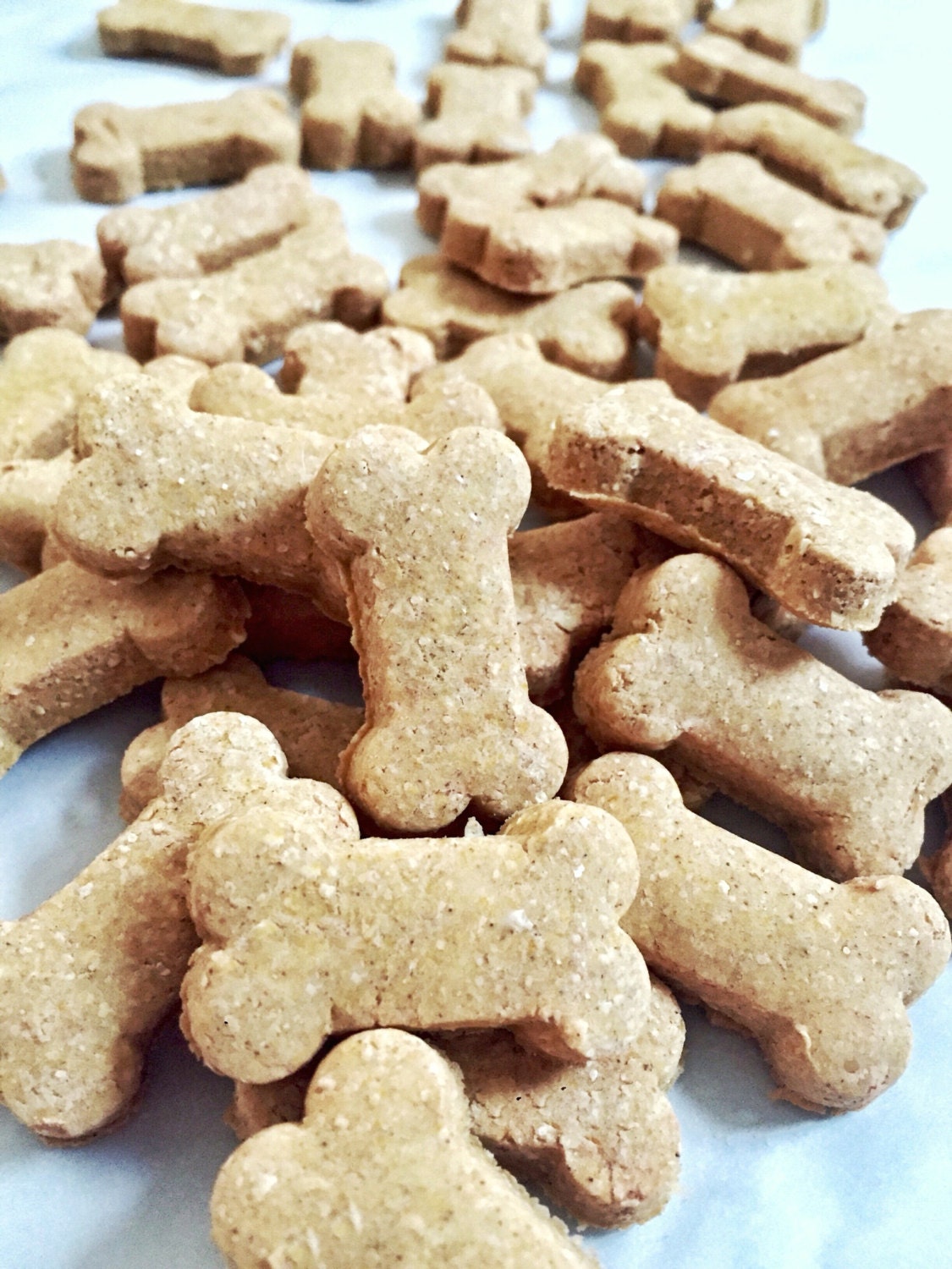 1 lb Grain-Free Organic Dog Treats Do It by PawbabyBiscuits