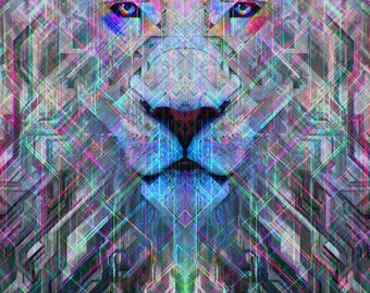 Imamu The Lion Tapestry Music Festival Rave Cape