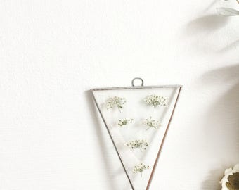 Real pressed flower handmade glass frame - cow parsley - Queen Anne's Lace - Botanical - Floral