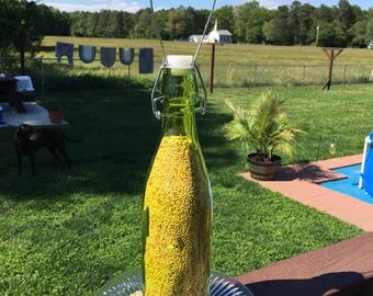 Glass bird feeder