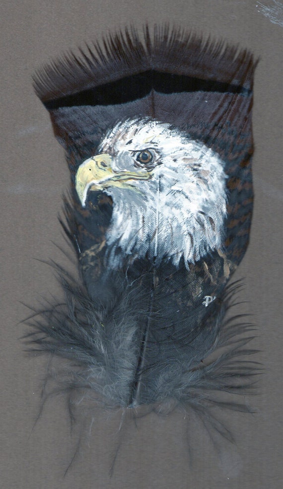 Bald Eagle Hand Painted on Turkey Feather Framed