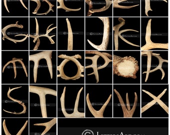 Name Art * Letter Art * Alphabet Photos * Free Proof * Personalized Gift - Same Day Free Ship * Antler Letter Art - Individual 4x6 Photos