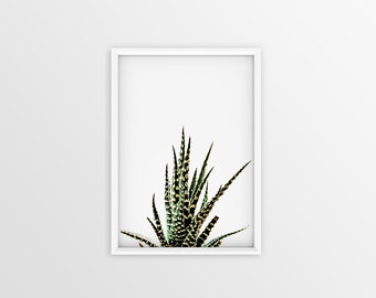 Cactus Wall Art cactus wall art | etsy Cactus Wall Art cactus wall art | etsy