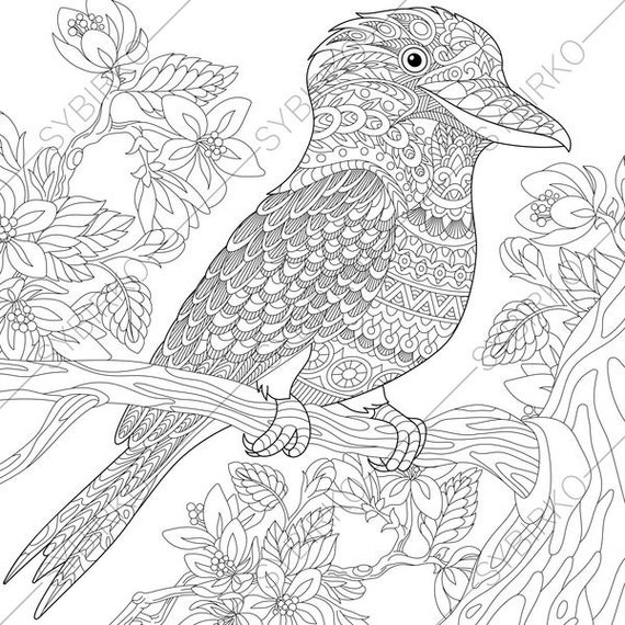 Kookaburra Bird. Australian Kingfisher. Coloring Pages. Animal