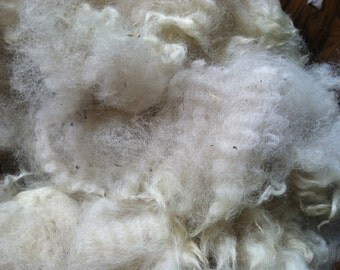 Alpaca Fleece - Carlyle whole fleece