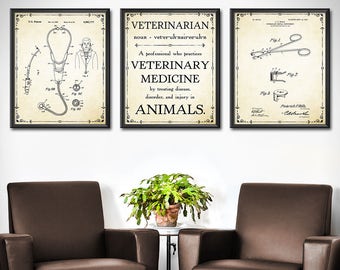 Veterinarian Gift - SET OF 3 - Vet Tech Gift, Vet Gift, Gifts for Veterinarians, Vet Student, School Assistant, Veterinary Technician - 1904