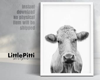 Nursery Farm Animal, cow print, cow photo, black white cow, nursery animal print, rustic farm print, cow photography, farmhouse printable