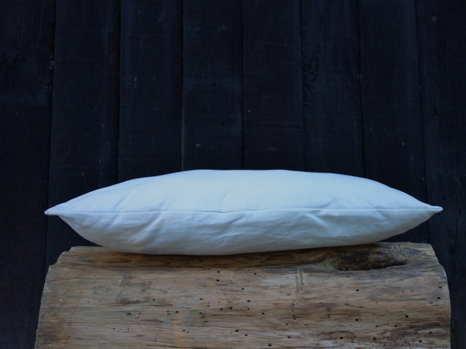 Organic Pillow Insert Hypo-allergenic Pillow Cover