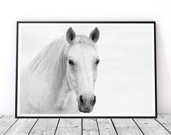 White Horse Photography, Horse Wall Art, Gift for Horse Lover, Horse Art Print, Black and White Horse Print, Master Bedroom Art