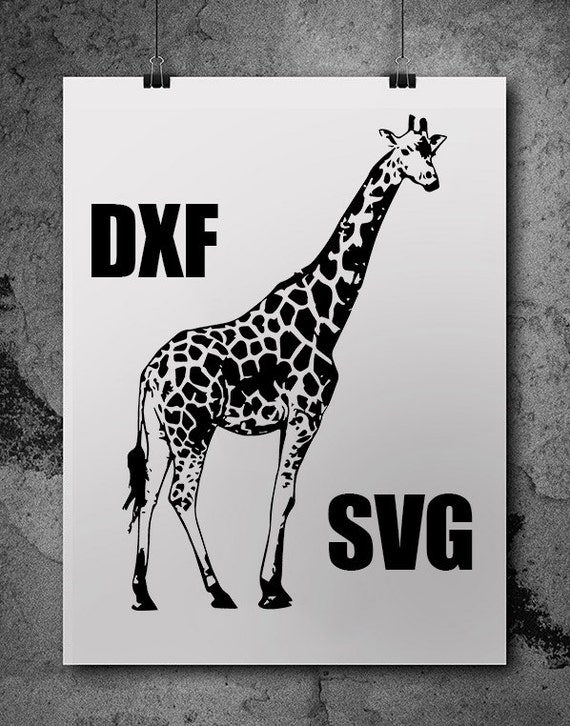 Giraffe Svg svg files silhouette cameo svg cutting svg