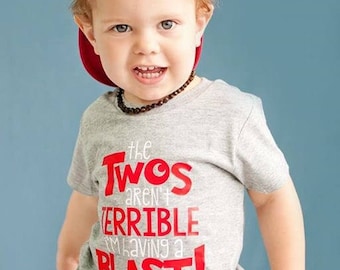 Terrible twos shirt, Two year old birthday shirt, 2 birthday shirt, birthday boy 2, second birthday shirt, funny toddler boy shirt, funny to