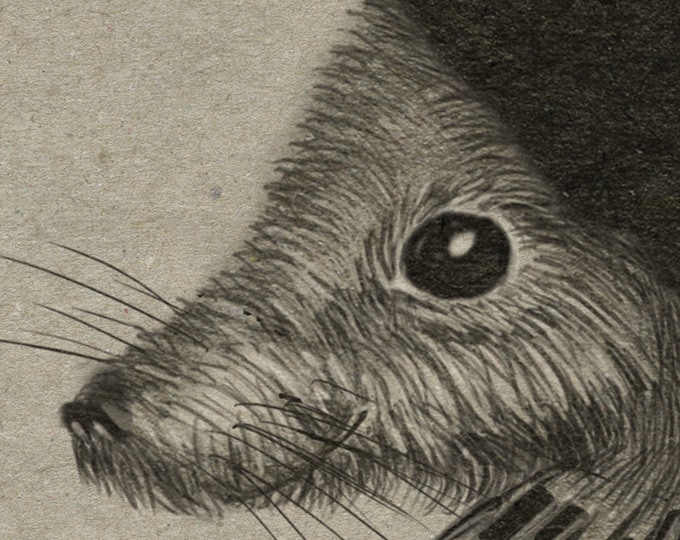 hedgehog - printable digital illustration