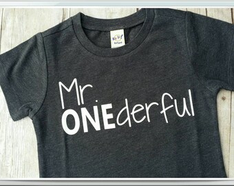Mr. ONEderful tee shirt, boy's birthday shirt, first birthday, 1st birthday shirt, baby boy shirt