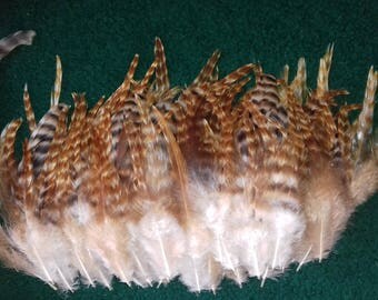 Rooster feathers, There is over 100 pieces. Cruelty free