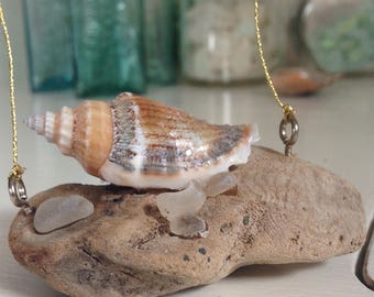 Driftwood Sea Glass Shell ornament