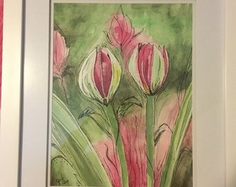 Spring Tulips