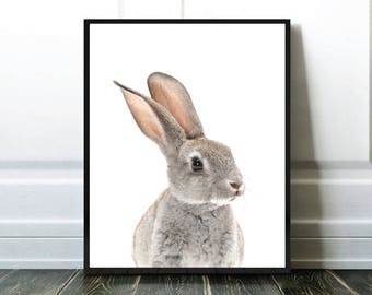 Rabbit Print, Lapin Imprimable, Baby Animals, Affiche Enfant, Nursery Room Print, Digital Download, Best Selling Item, Most Popular Item