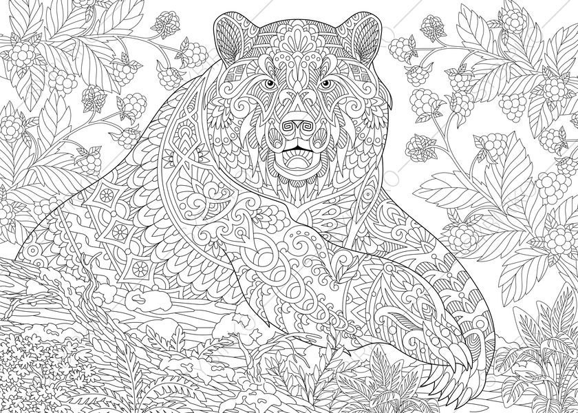 Adult Coloring Pages. Grizzly Bear. Zentangle Doodle Coloring