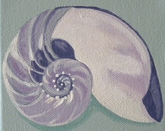 nautilus shell blank greeting card