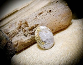 Mexican Crazy Lace Agate Gemstone Tie Tack Hat Lapel Brooch Pin