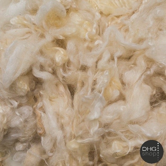 Wensleydale Raw Wool Fleece 2 oz.