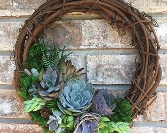 10" Living Succulent Wreath (made-to-order)
