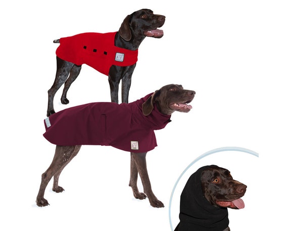 GERMAN SHORTHAIRED POINTER Warm Climate Special Dog Raincoat