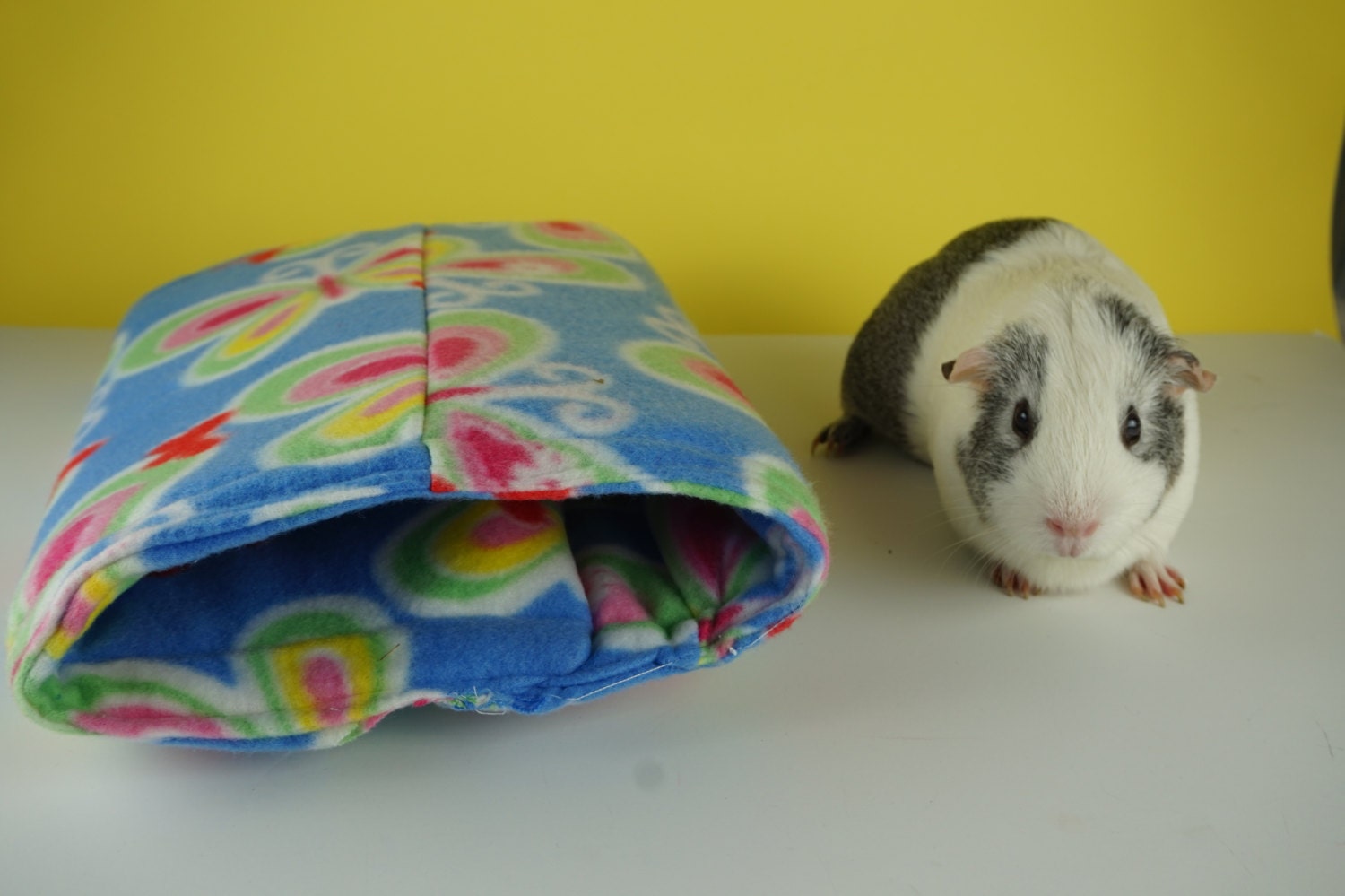 Butterfly fleece guinea pig tunnel guine pig bed